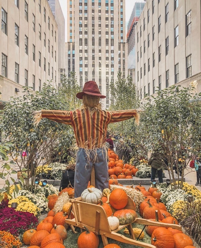 Lugar Rockefeller Center