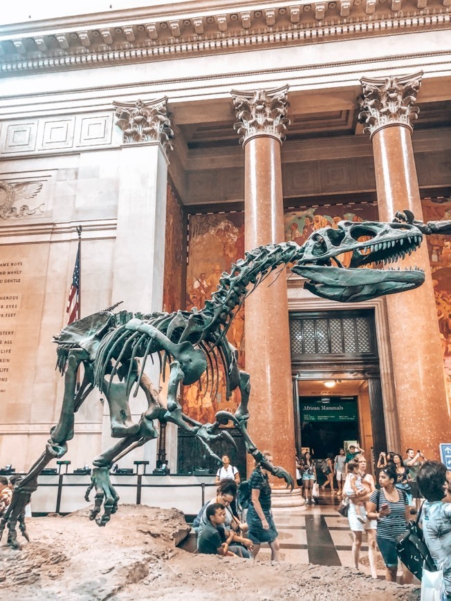 Lugar Museu de história natural