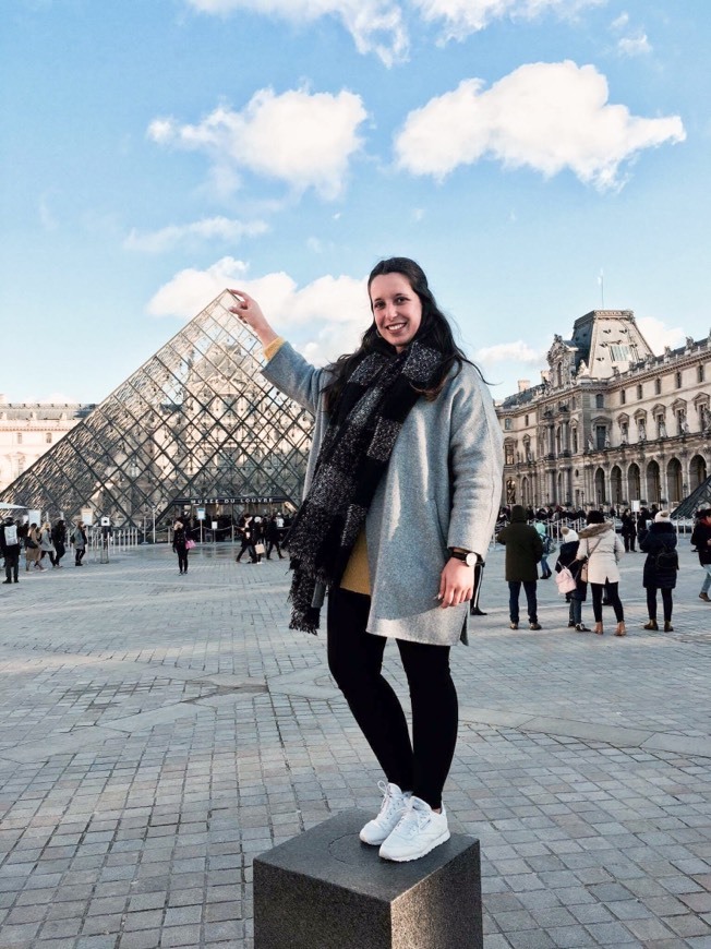 Lugar Museo del Louvre