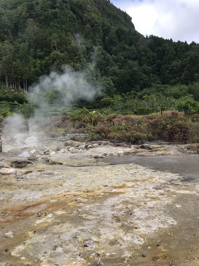Cozido das furnas