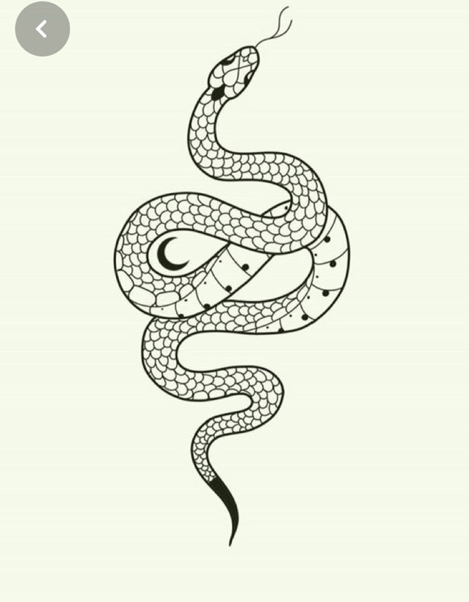 Fashion Tatuagem 🐍 