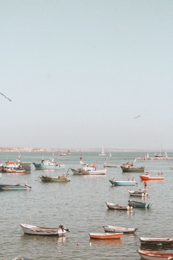 Marina de Cascais