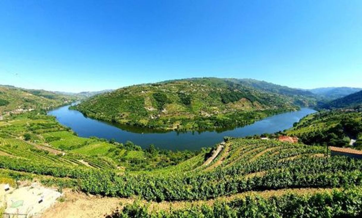 Lugar Miradouro Mesão Frio