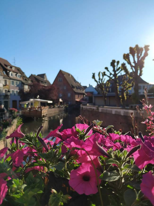 Place Colmar