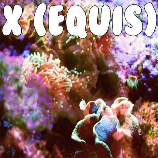 X (EQUIS) (Tribute to Nicky Jam x J Balvin)
