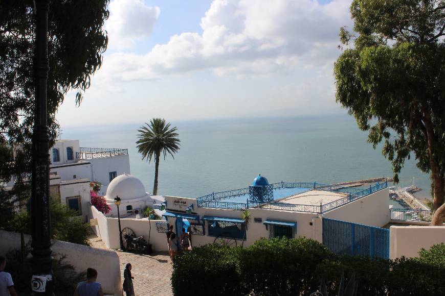 Lugar Sidi Bou Said