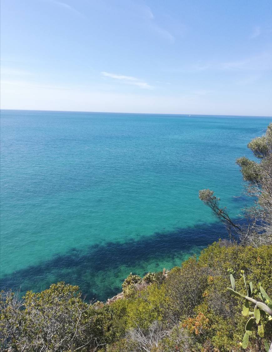 Place Portinho da Arrábida