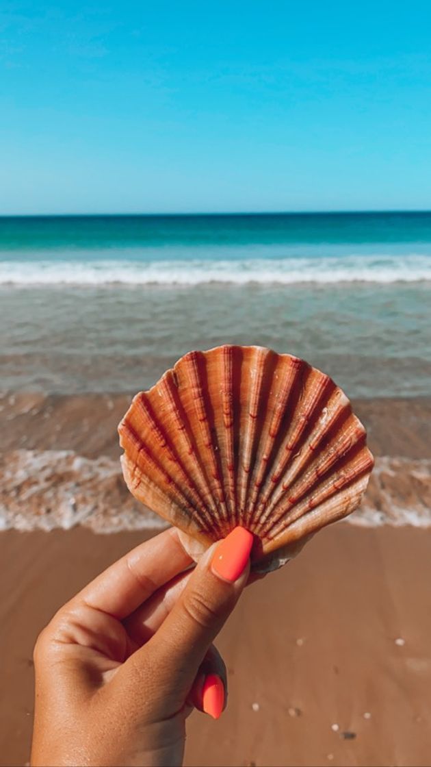 Place Praia dos salgados 🐚