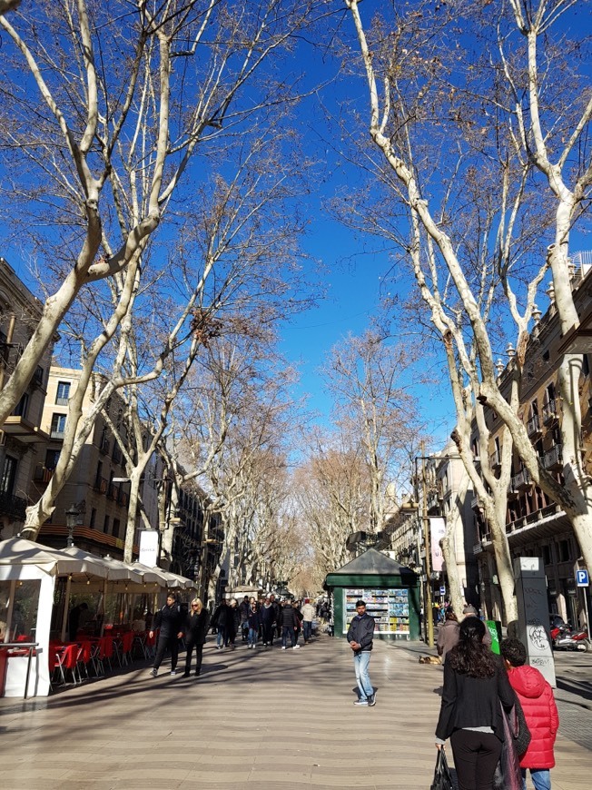 Lugares La Rambla