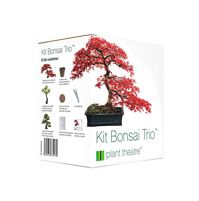 Producto Plant Theatre Kit Bonsai Trio