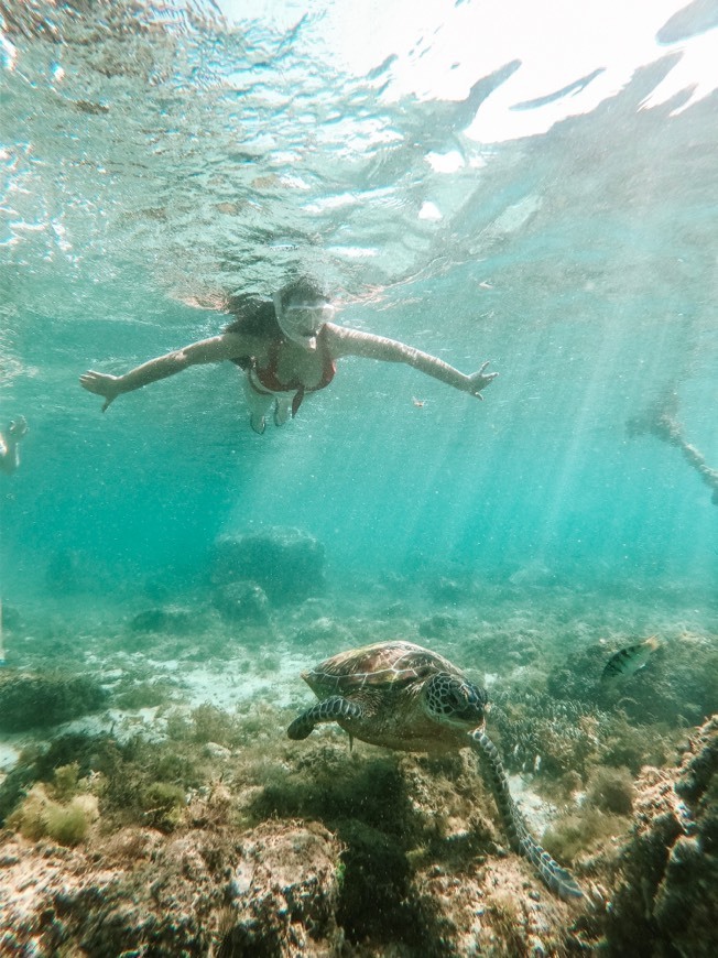 Lugar Apo Island