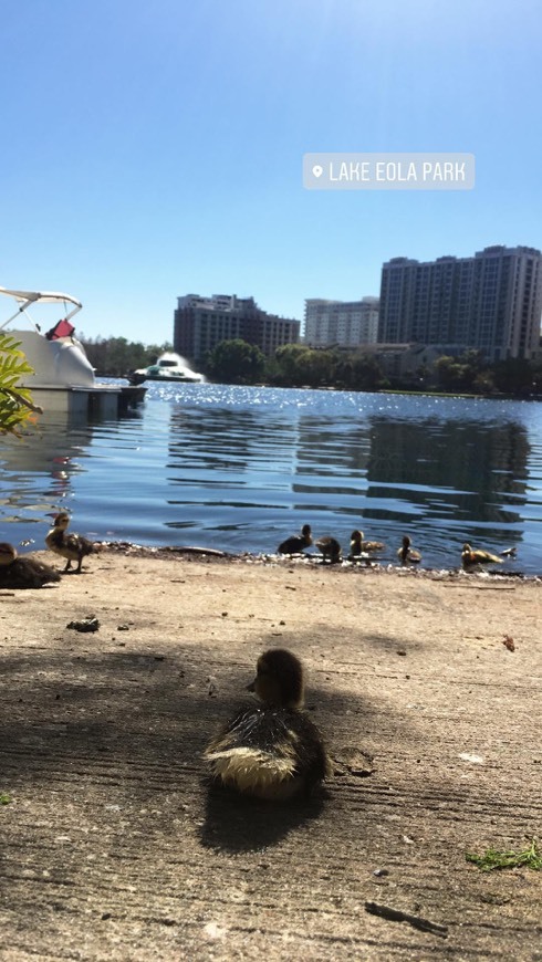 Lake Eola Park