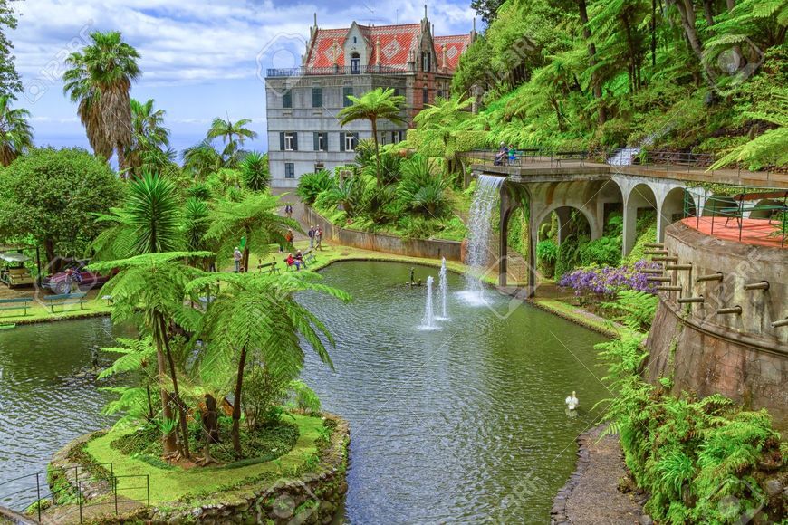 Lugares Monte Palace, Madeira