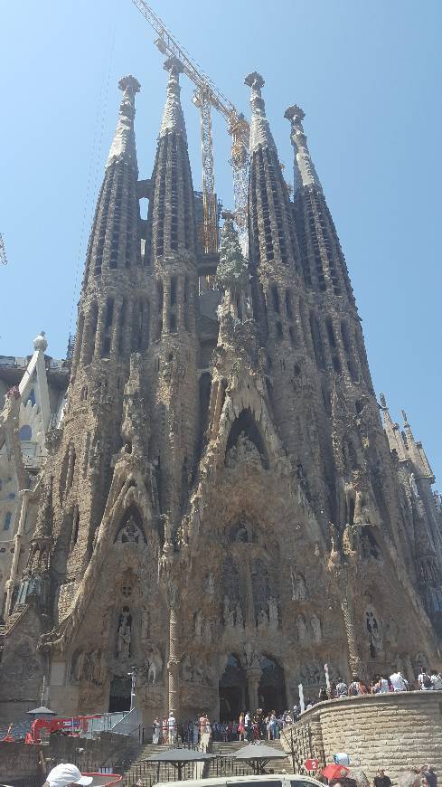 Lugar Basílica Sagrada Familia