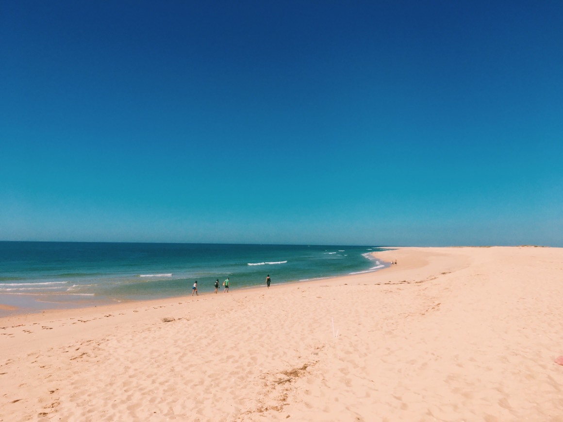 Lugar Isla Barreta