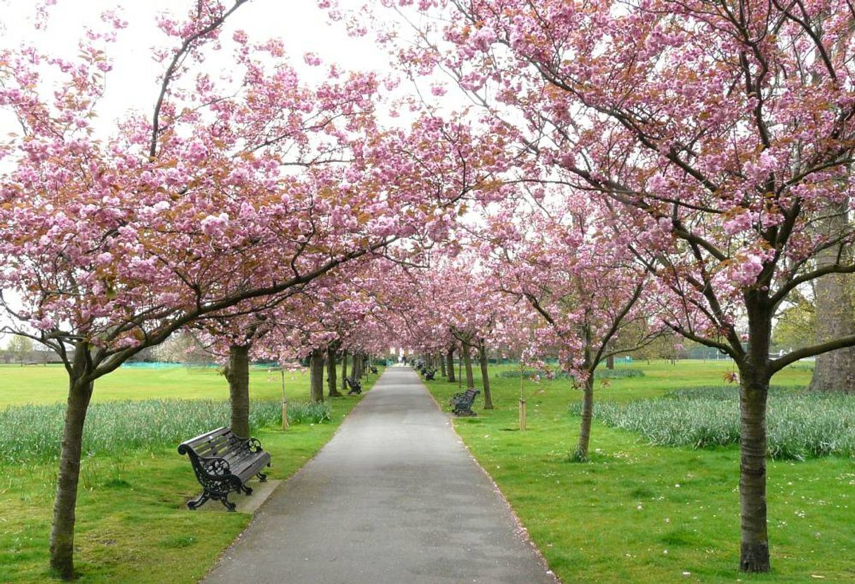 Place Greenwich Park