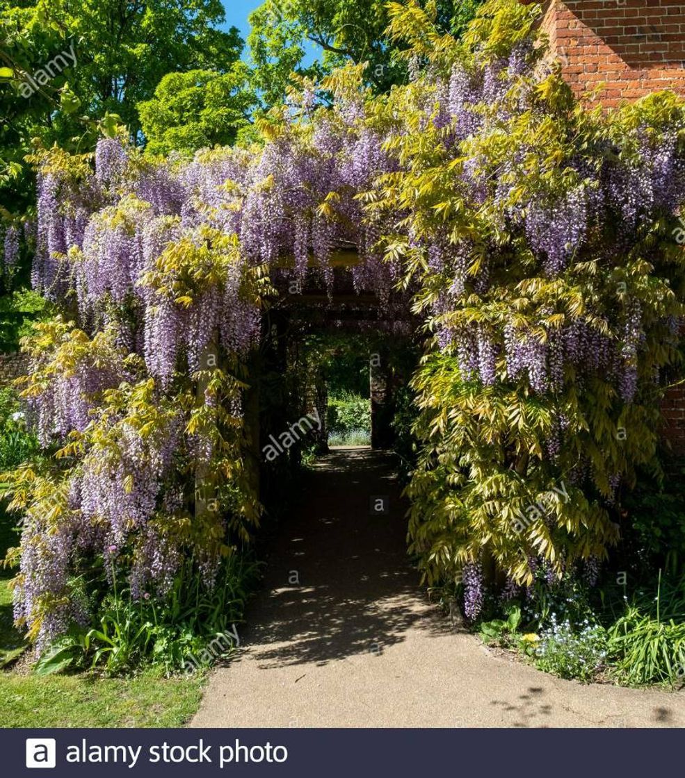 Place Eastcote House Gardens