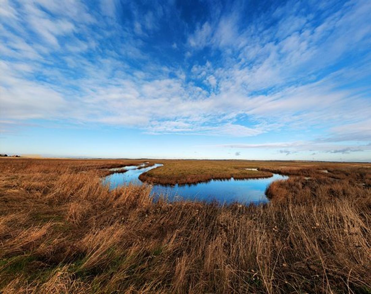 Lugares Elmley National Nature Reserve