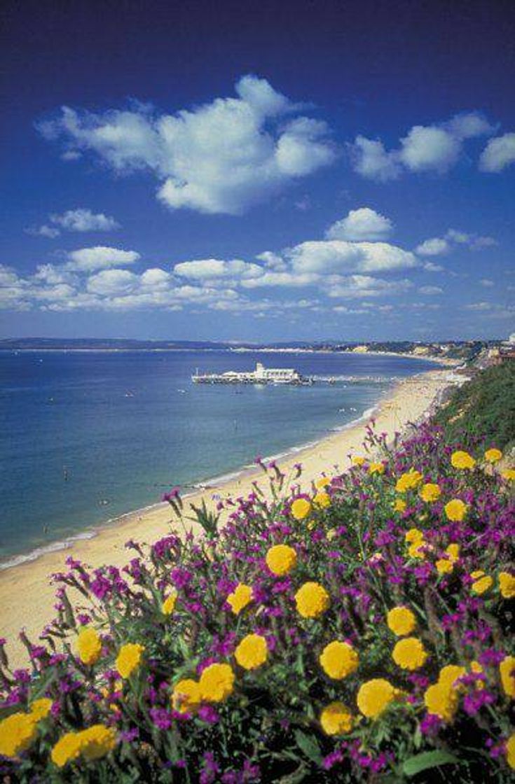 Place Bournemouth