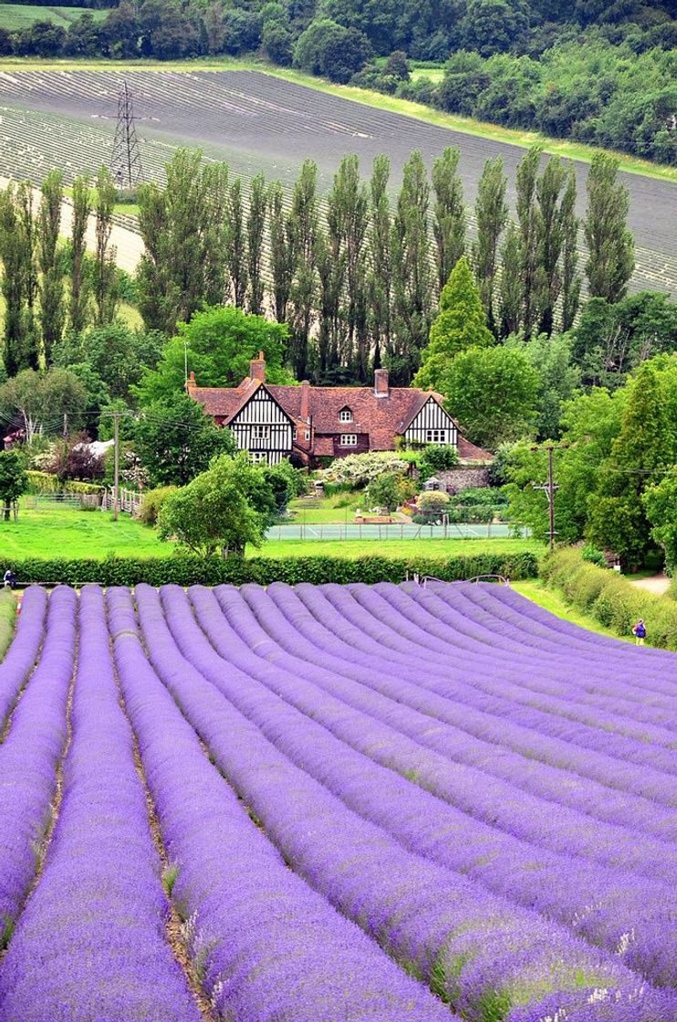 Lugares Castle Farm