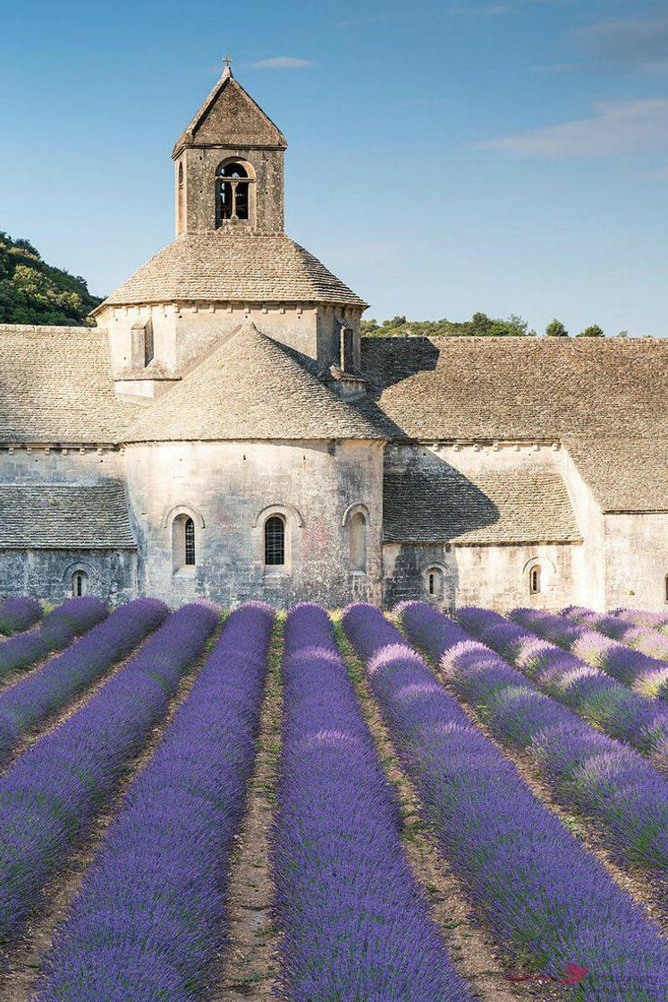 Place Sénanque Abbey