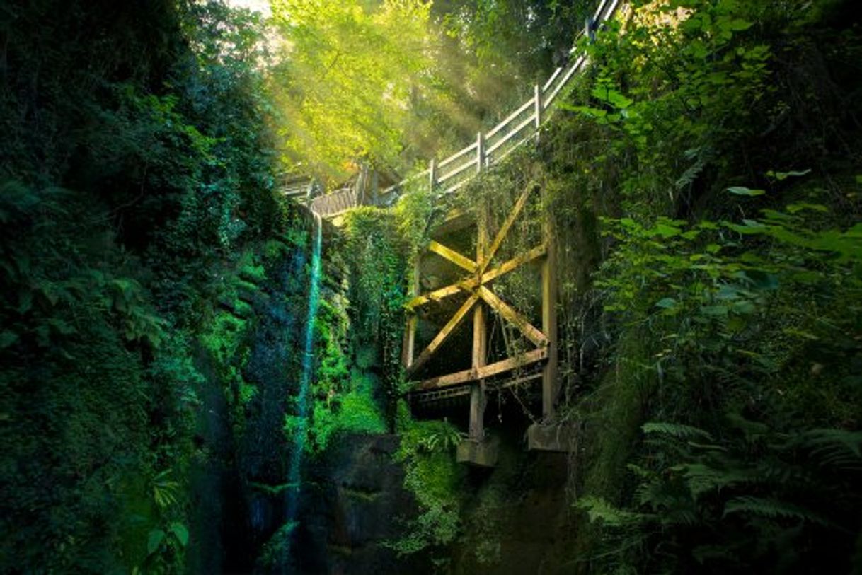 Lugares Shanklin Chine