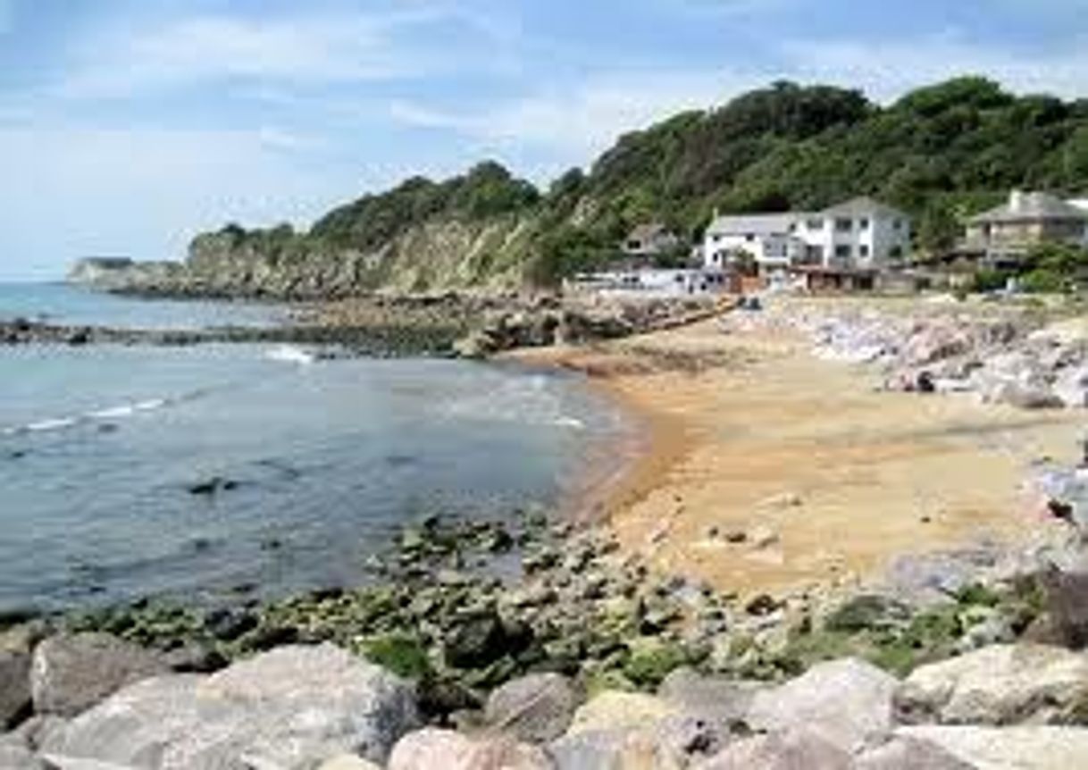 Places Steephill Cove