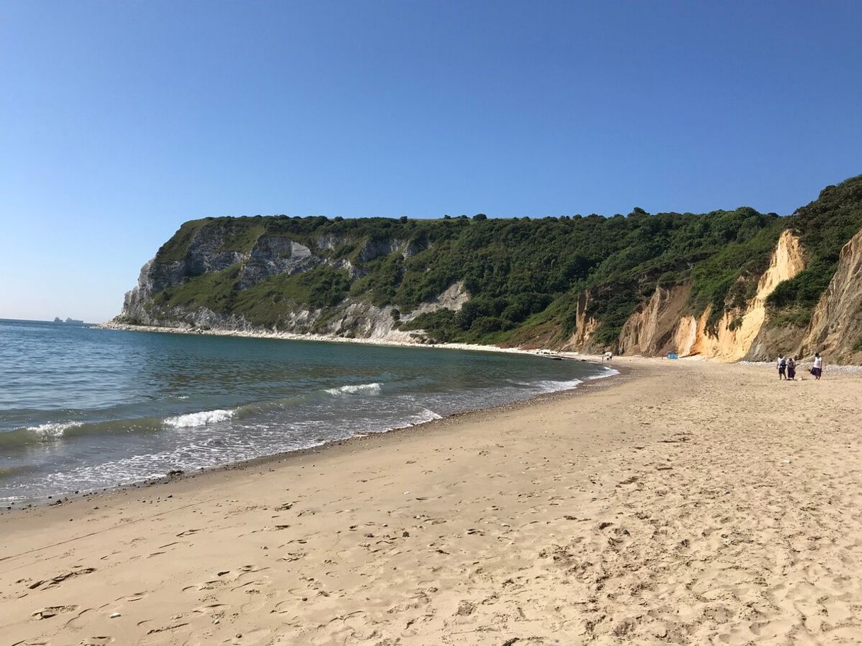 Places Whitecliff Bay