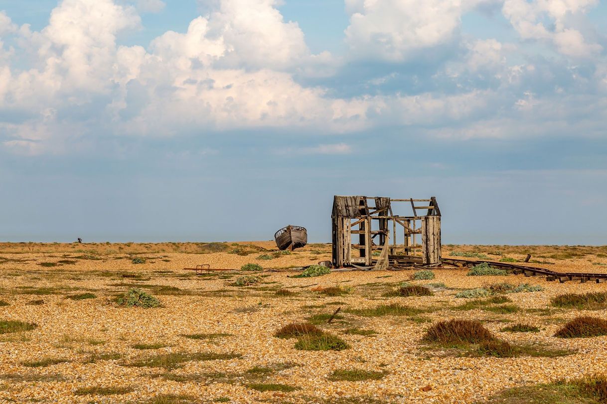 Lugar Dungeness