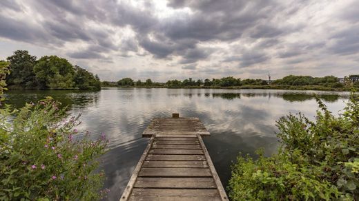 Walthamstow Wetlands