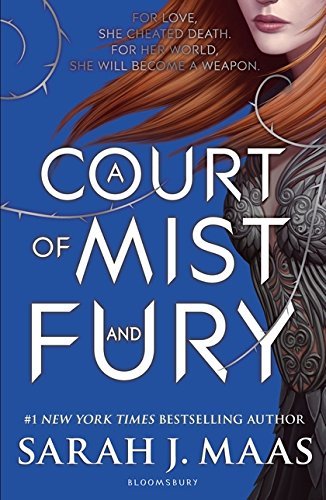 Libro A Court Of Mist And Fury