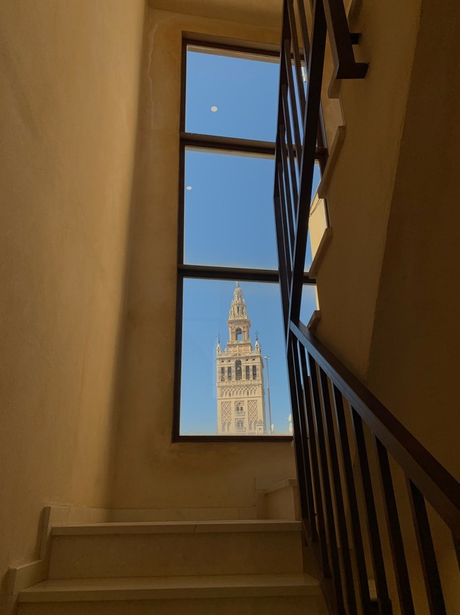 Ángeles Catedral