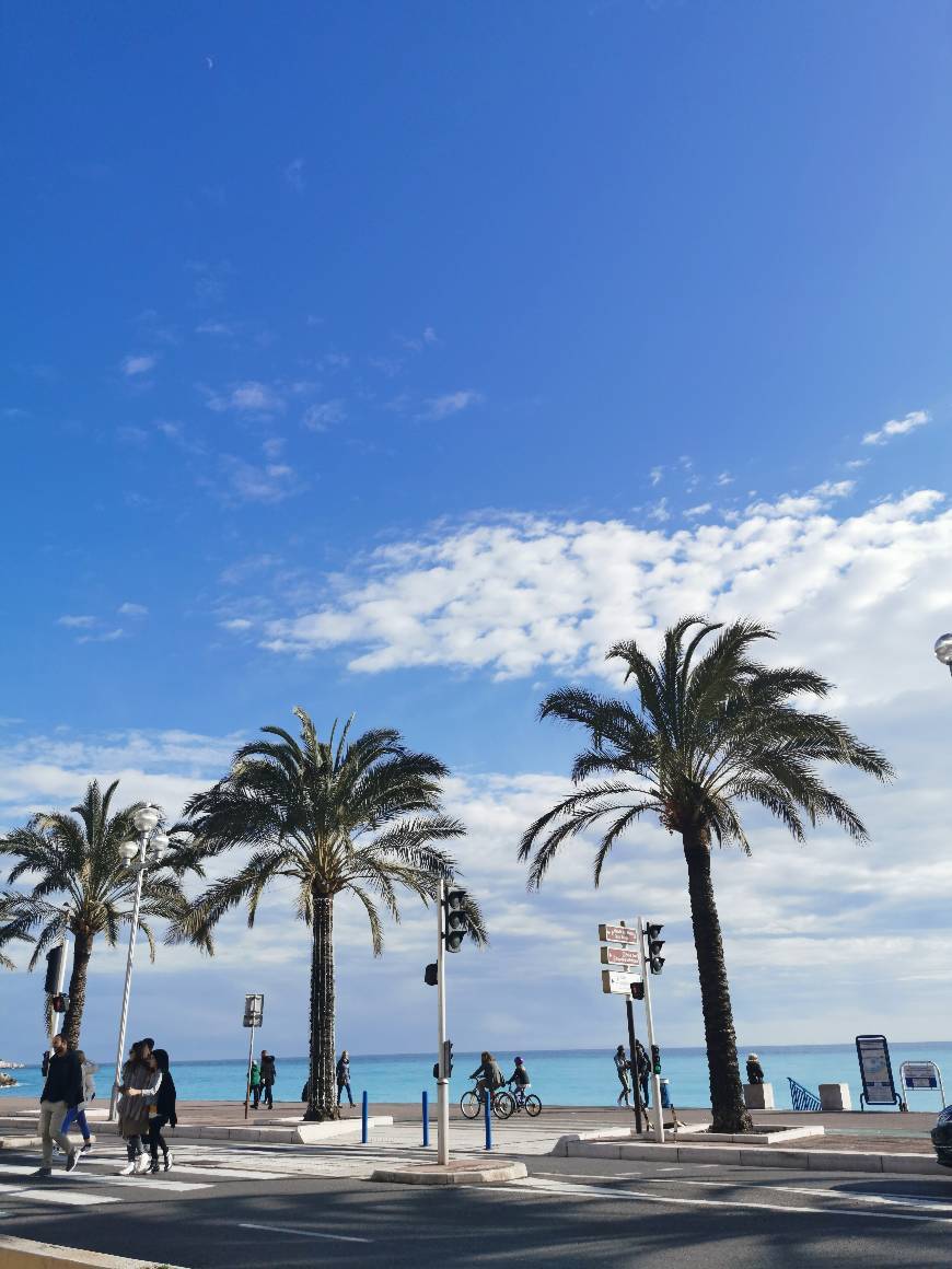 Place Plage Publique des Ponchettes