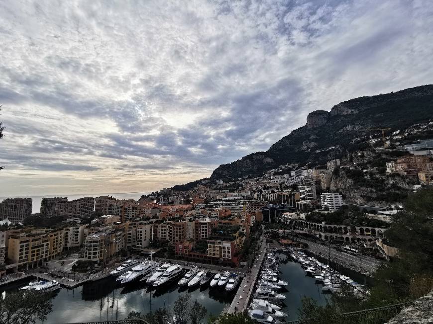 Place Port de Fontvieille