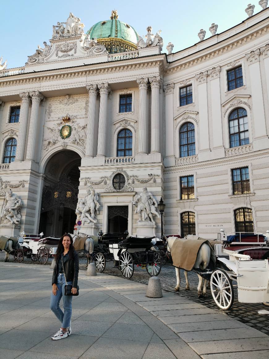 Place Michaelerplatz