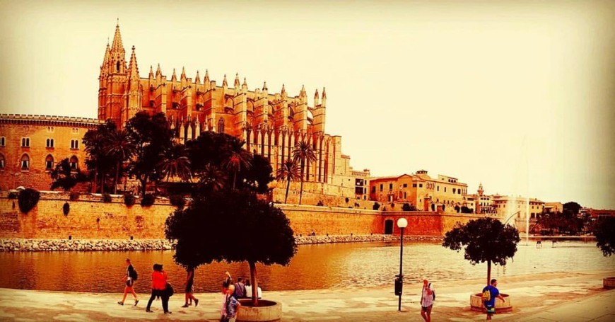 Place Catedral-Basílica de Santa María de Mallorca