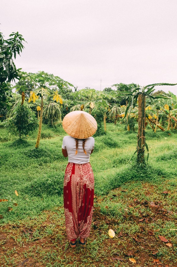 Place Delta Mekong