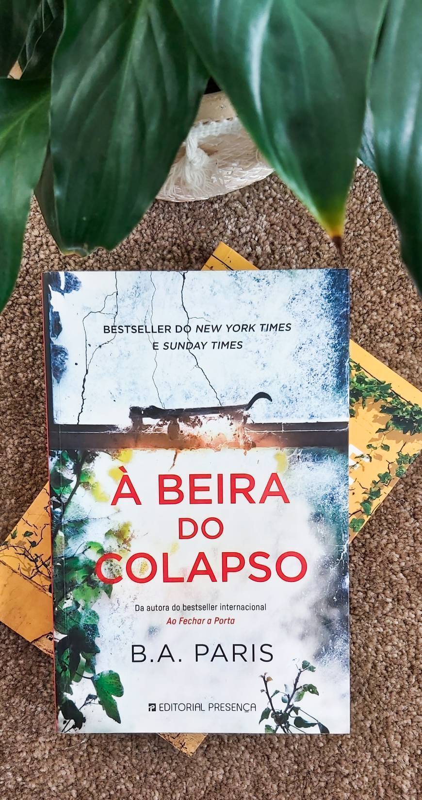 Libro À Beira do Colapso