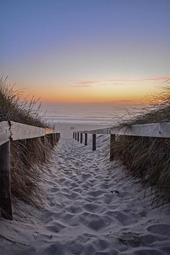 Praia da Tocha