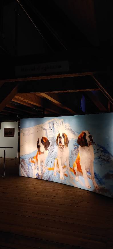 Lugar Barryland - Musée et Chiens du Saint Bernard