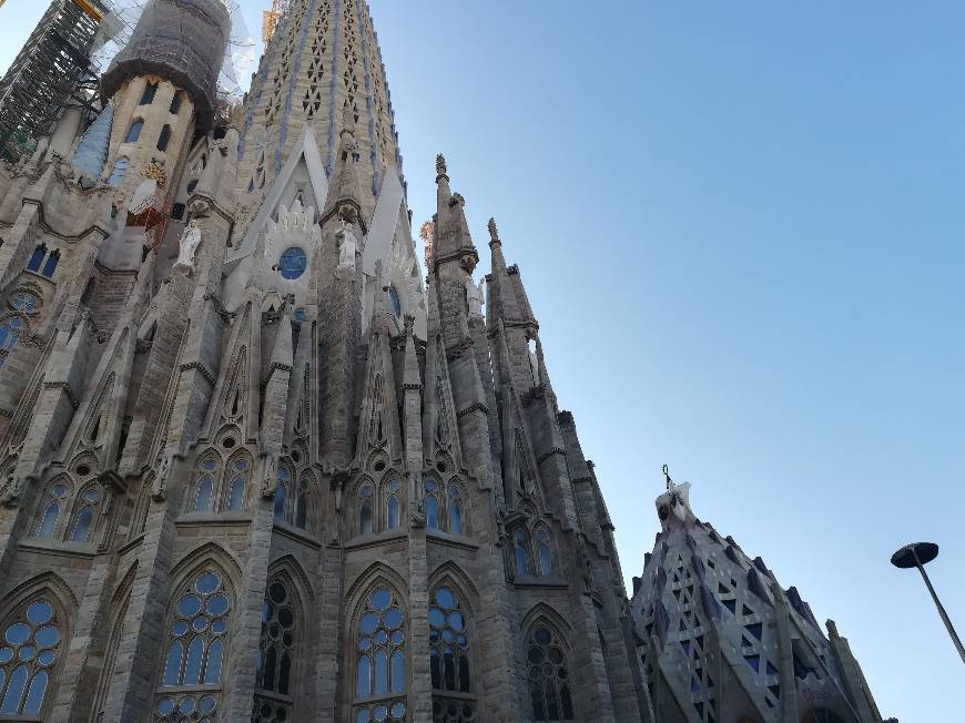 Lugar Basílica Sagrada Familia