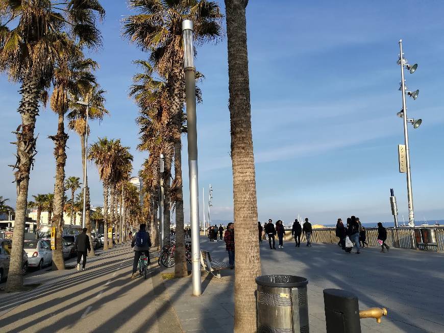 Place La Barceloneta