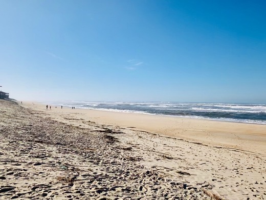 Praia da Vieira