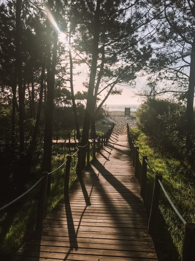 Place Praia de Caminha