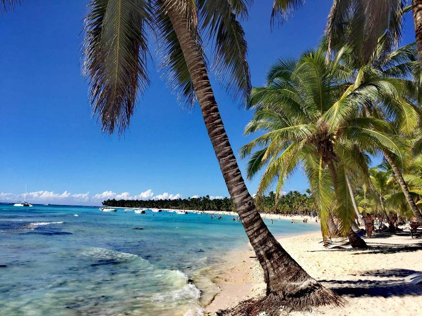 Lugar Isla Saona