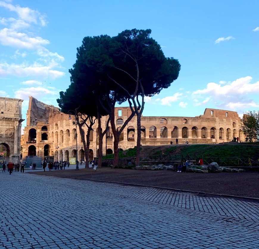 Place Coliseo de Roma