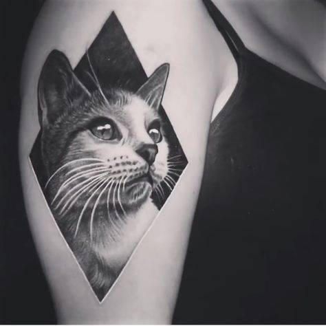 Tatuagem Gato