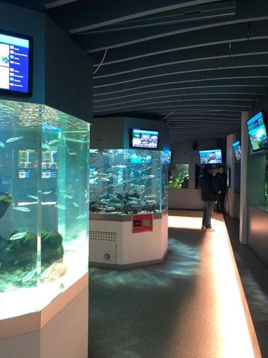Oresund Aquarium
