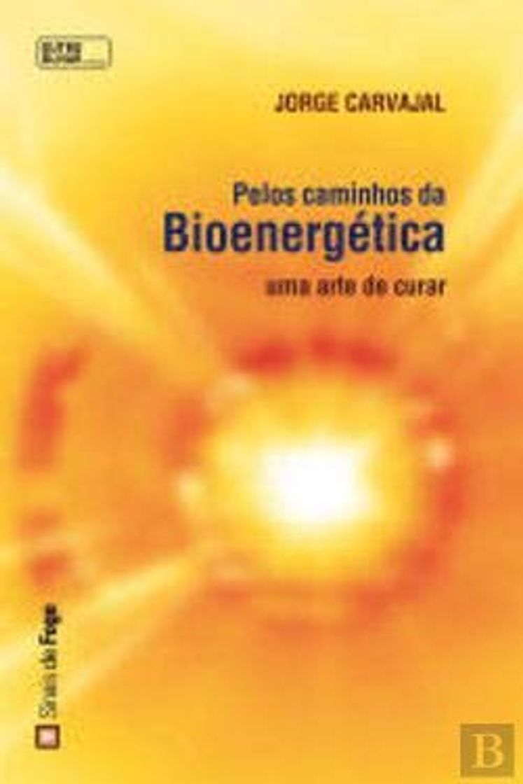 Books Pelos caminhos da Bioenergética