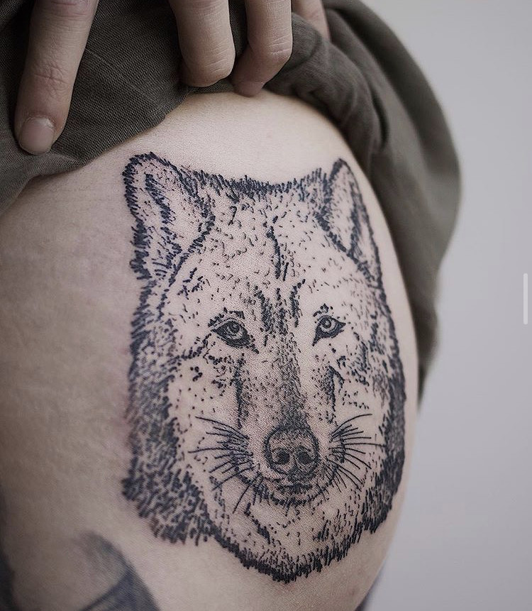 Lobo 